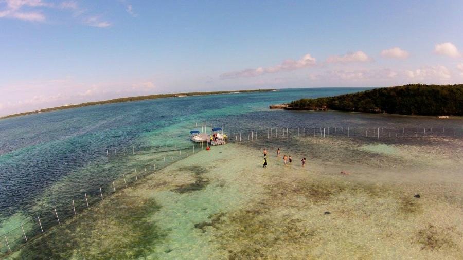 Stingray City Bahamas (Great Harbour Cay) - Alles wat u moet weten ...