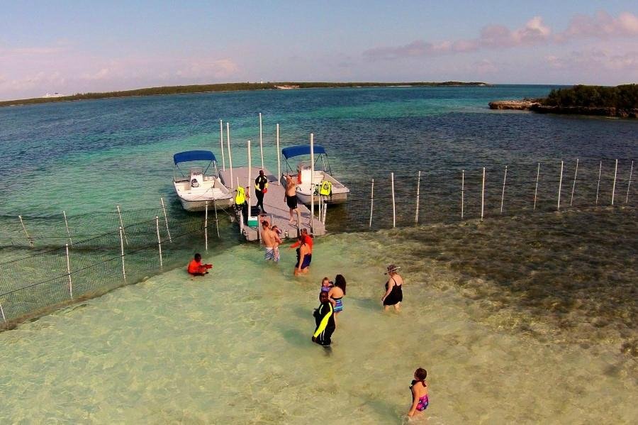 Stingray City Bahamas (Great Harbour Cay) - Alles wat u moet weten ...