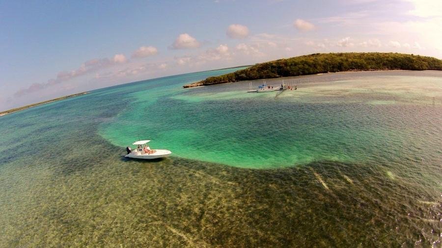 Stingray City Bahamas (Great Harbour Cay) - Lohnt es sich? Aktuell für ...