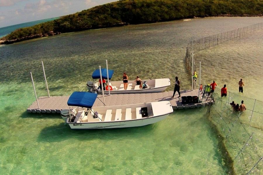 Stingray City Bahamas (Great Harbour Cay) - Alles wat u moet weten ...