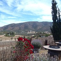 Nice view from the patio
