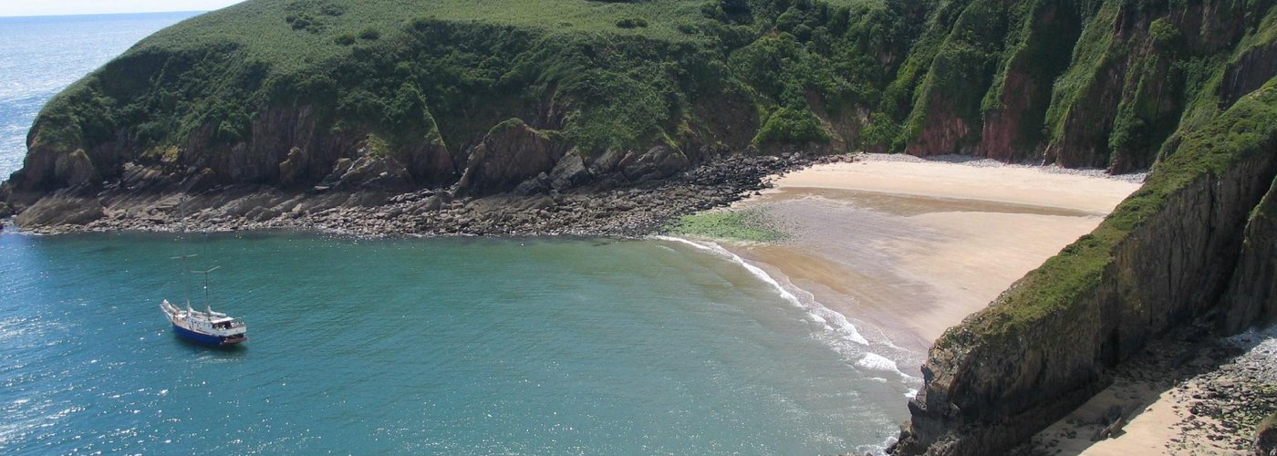 Shrinkle Haven