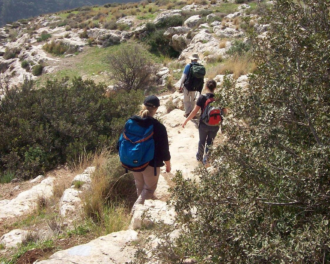 eco field trips israel