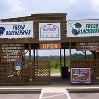 We're usually open for picking blueberries and blackberries starting around the end of May.