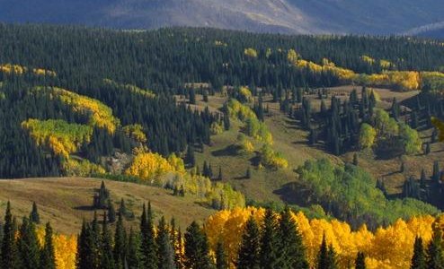Scenic vistas from Ripple Creek Pass