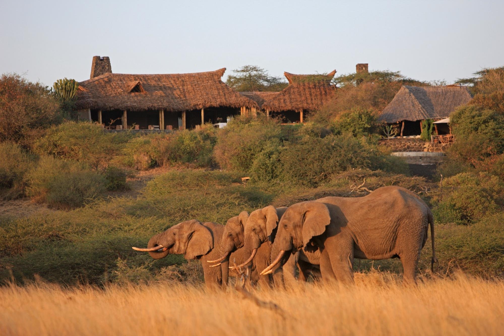 ol Donyo Lodge by Google