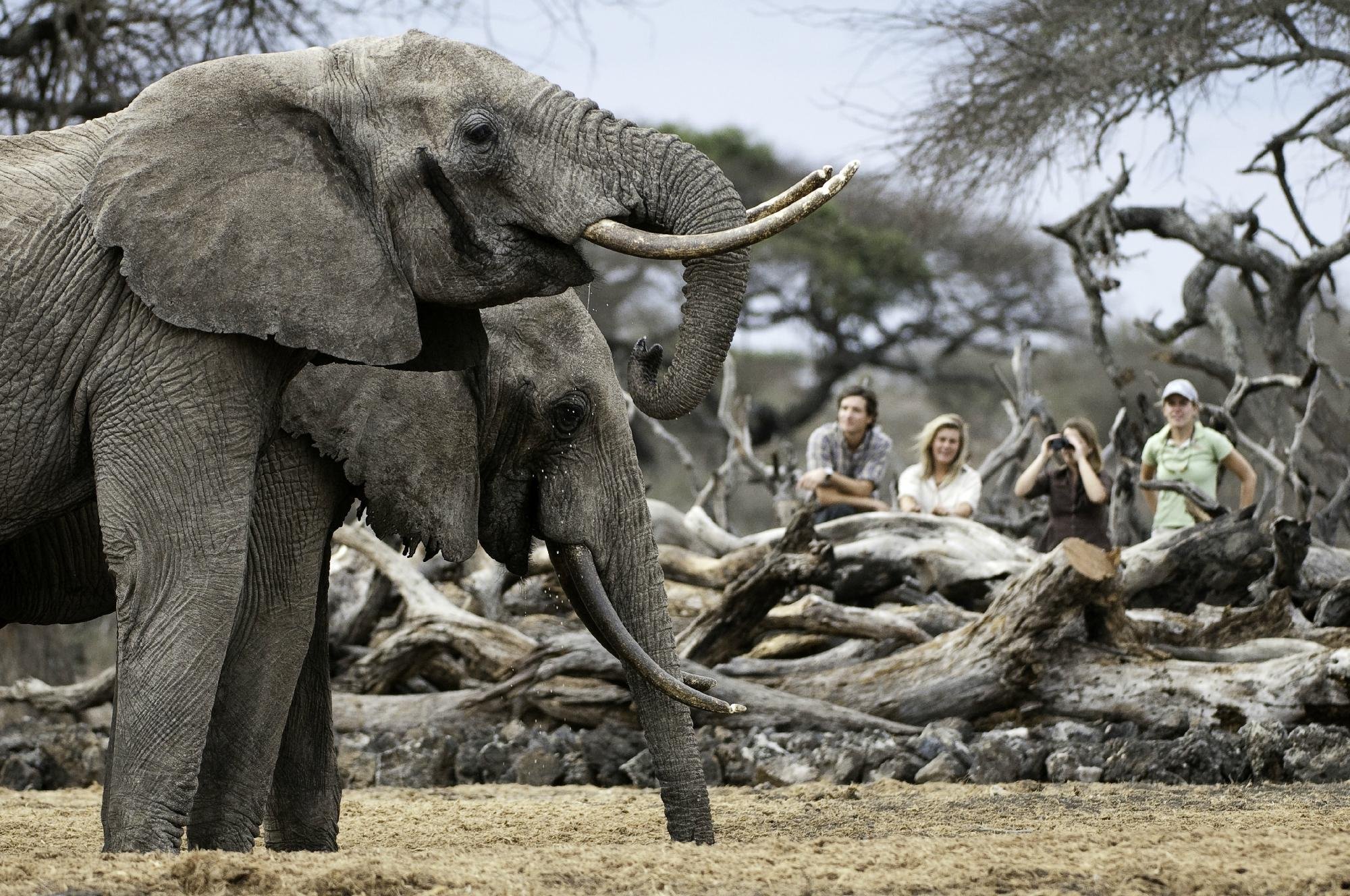 ol Donyo Lodge by Google