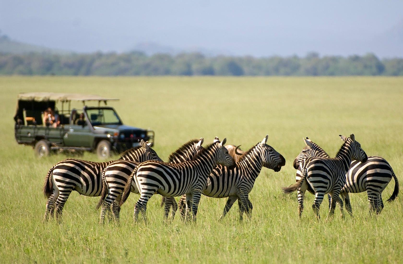 ol Donyo Lodge by Google