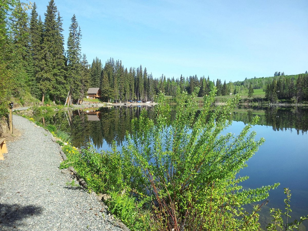 Lac Des Roches Resort - Fishing for Rainbow trouts