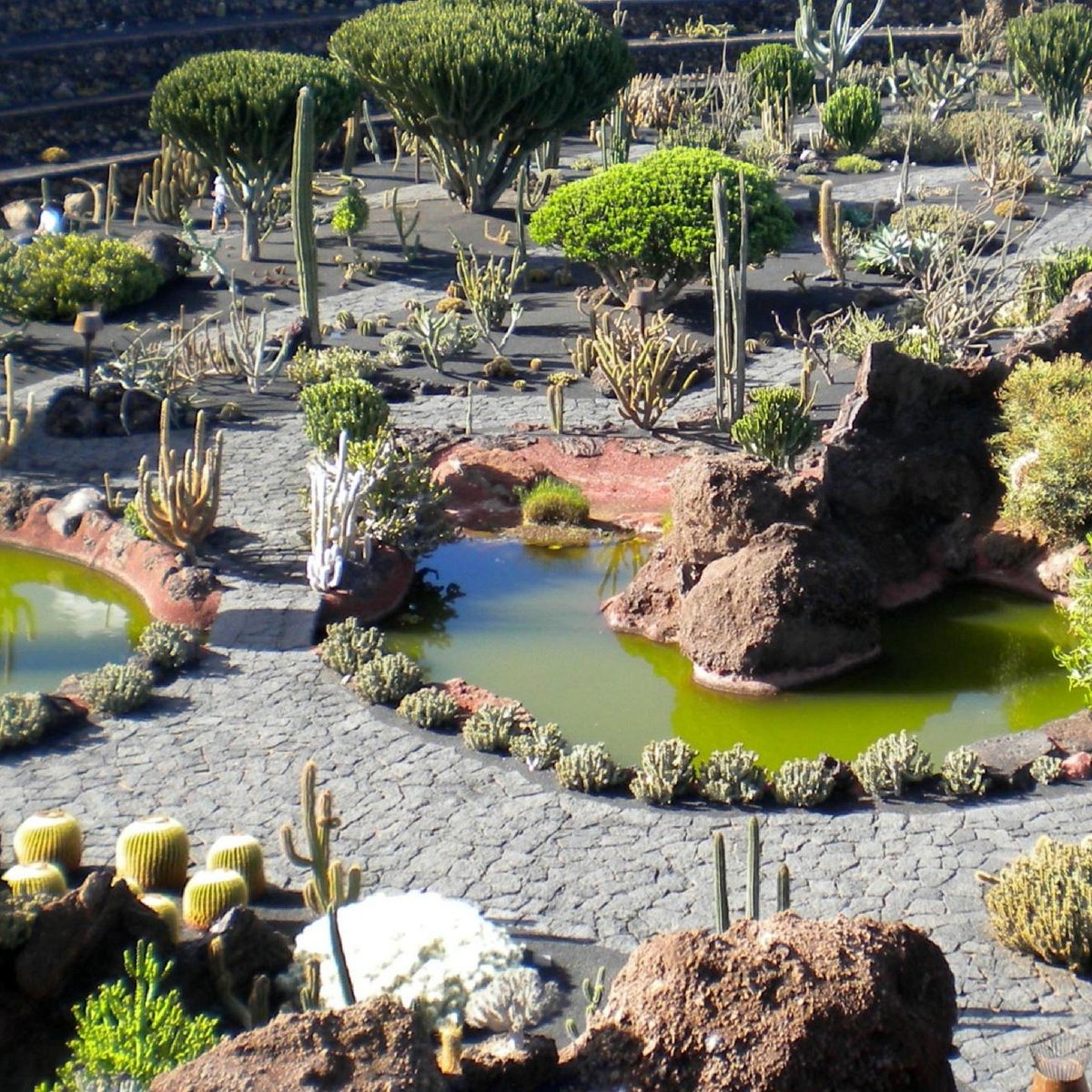 Jardín de Cactus - CACT Lanzarote