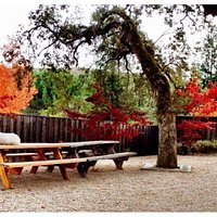 Fall at the tasting room!