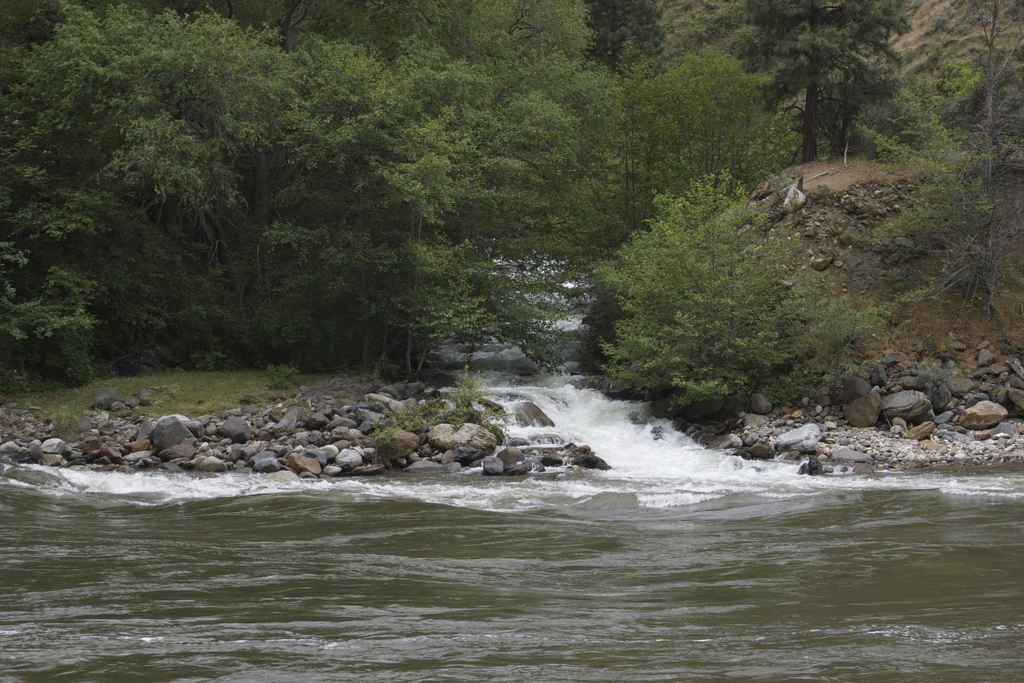 Wapiti River Guides - All You Need To Know BEFORE You Go (2024)