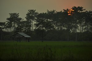ห้องพักและห้องสวีท
