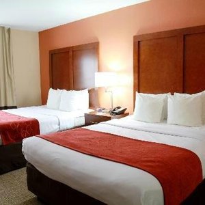 Two Quees beds