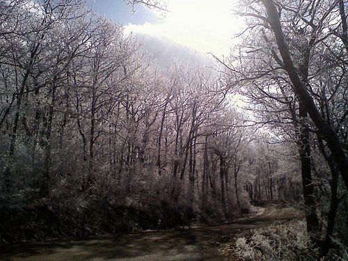 day trips from boone nc