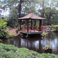 Jardim Japonês - Lago