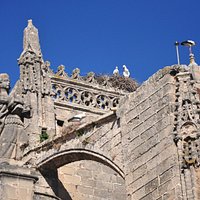 Kirche, blauer Himmel, Störche