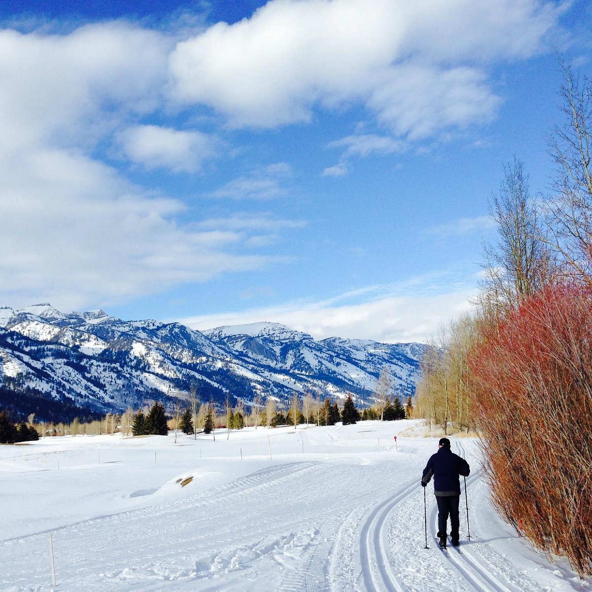 Jackson hole. Долина Джексон Хоул. Джексон Хоул. Jackson hole Airport.