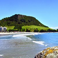 Maunganui
