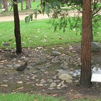 Eurobodalla Regional Botanic Gardens