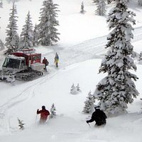 Dropping in on the snowcat for another run in the freshies
