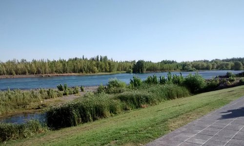 Foto del paseo de la costa