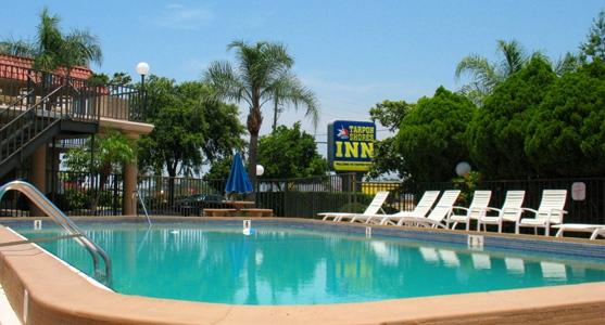 The Ultimate Guide to Best Western Tarpon Springs, FL: Your Perfect Getaway Awaits!