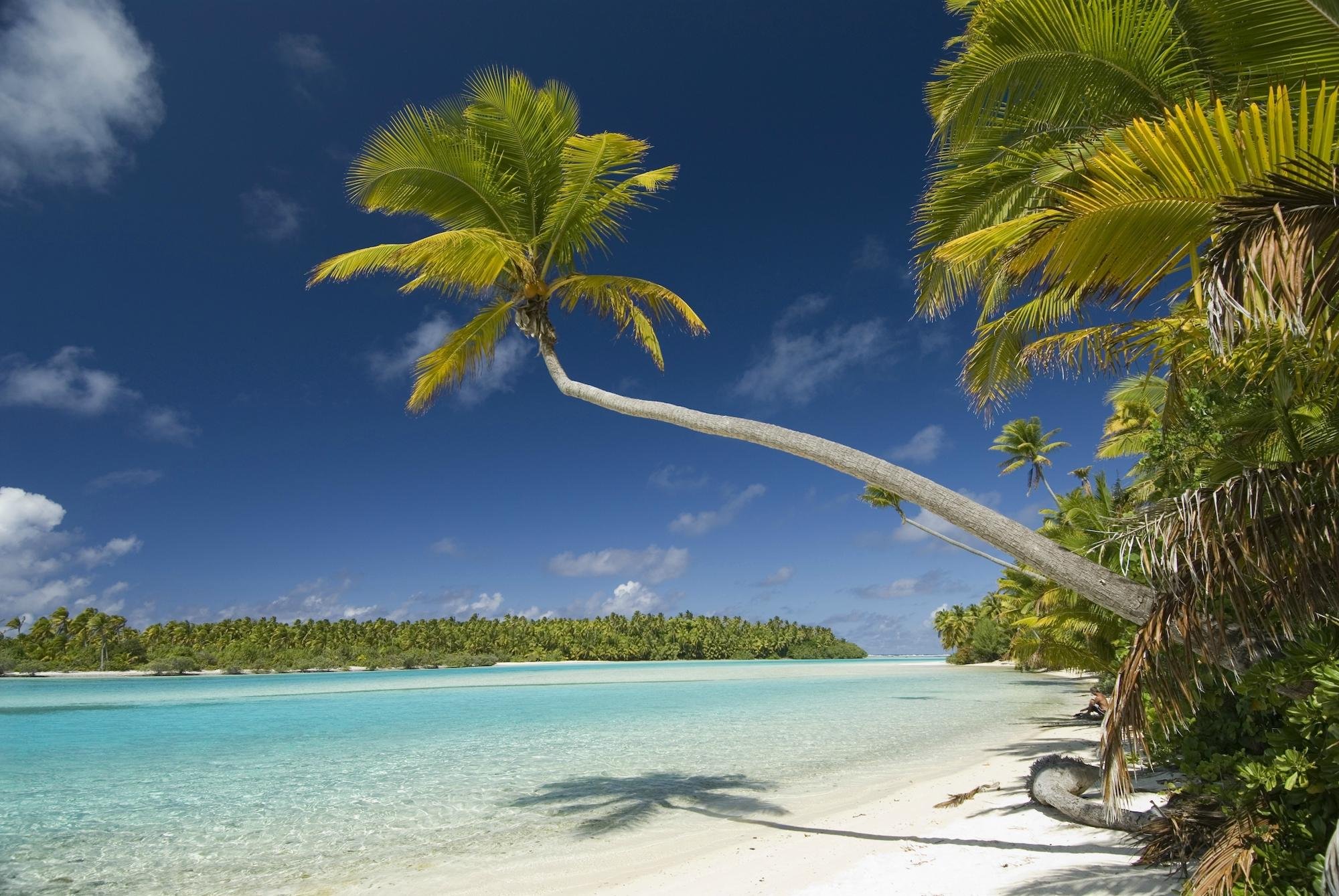 THE VAKA CRUISE (Aitutaki) - All You Need to Know BEFORE You Go