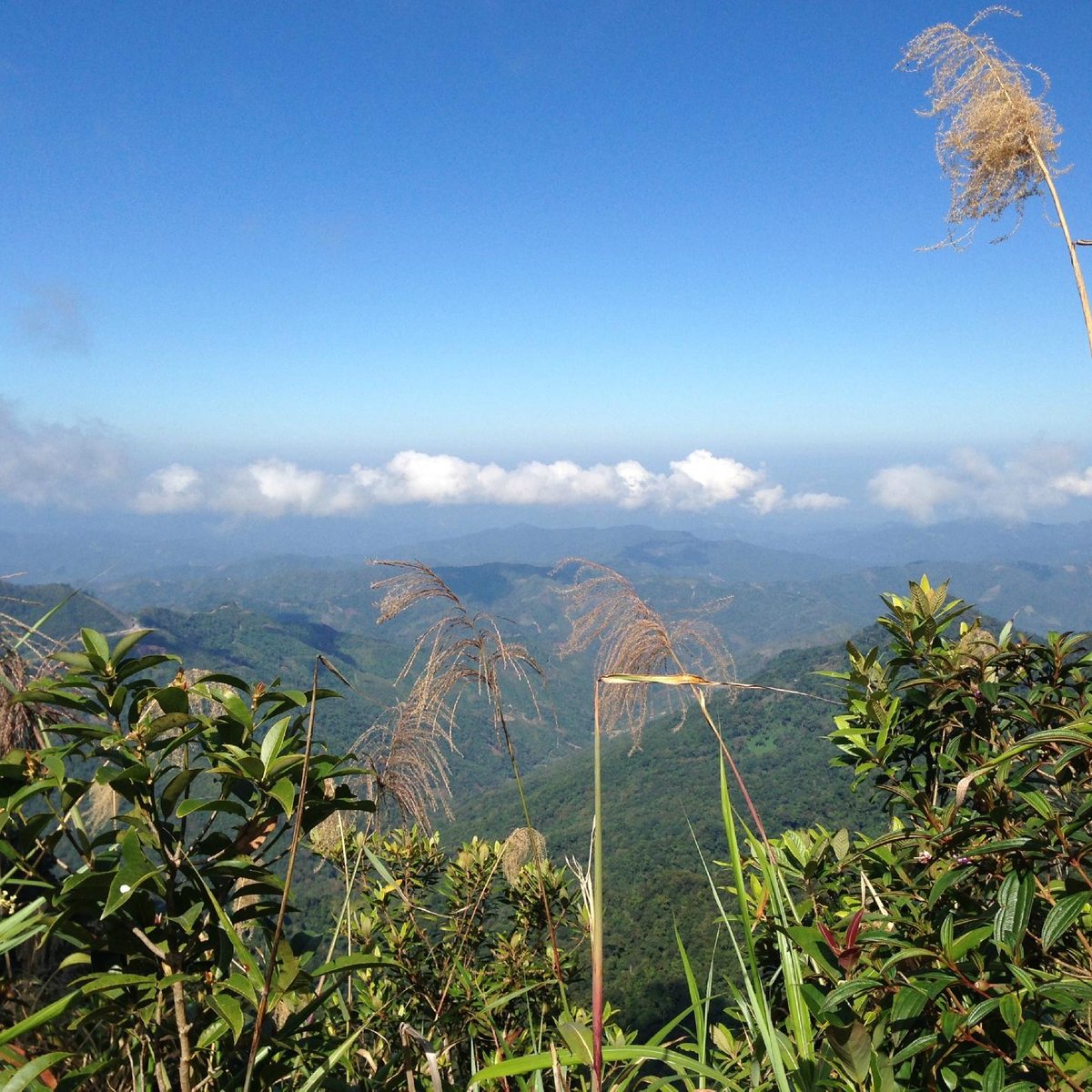 Kinabalu Park Sabah 2021 All You Need To Know Before You Go With Photos Tripadvisor