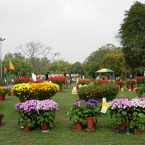 haryana tourism sultanpur