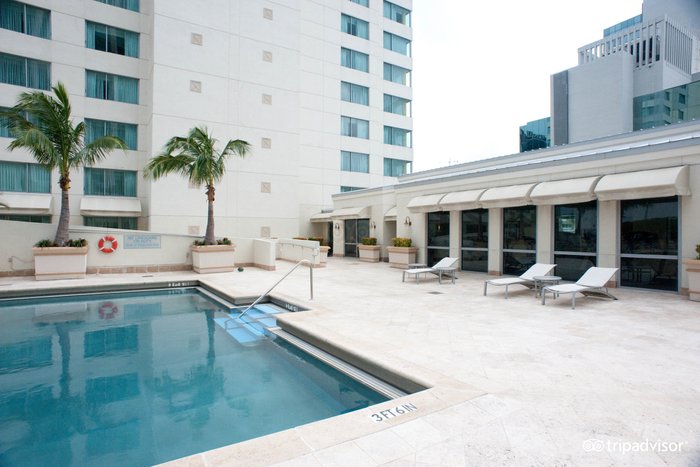 JW Marriott Miami Pool Pictures & Reviews - Tripadvisor