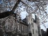 patBergamo