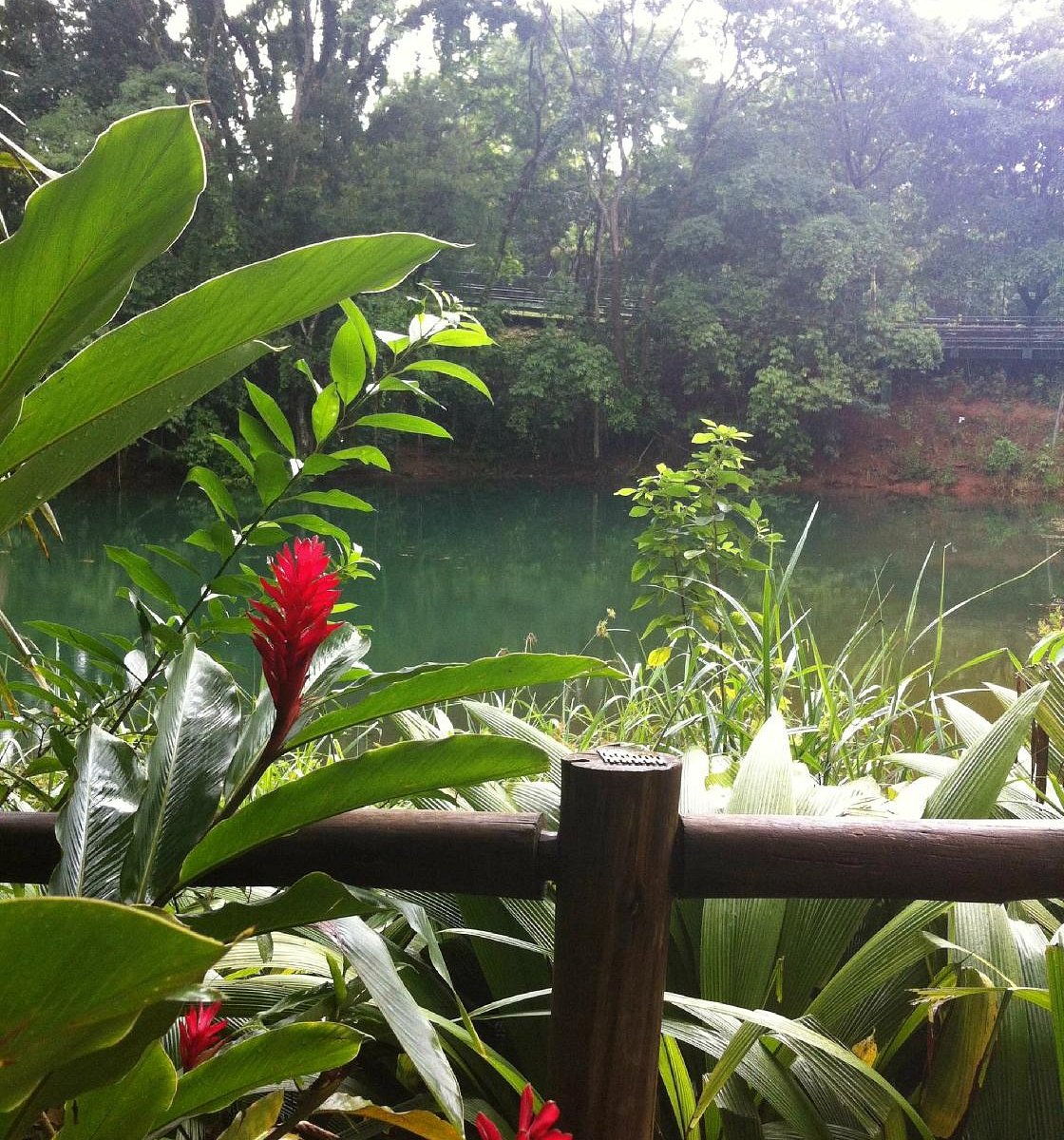 Parque Nacional de Brasília - O que saber antes de ir (ATUALIZADO 2023)