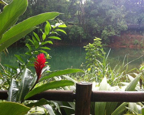 Parque Nacional de Brasília é ponto de fuga em dias quentes e secos do DF, Divirta-se mais