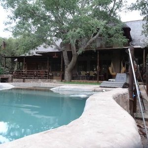 Rear view of the house and pool