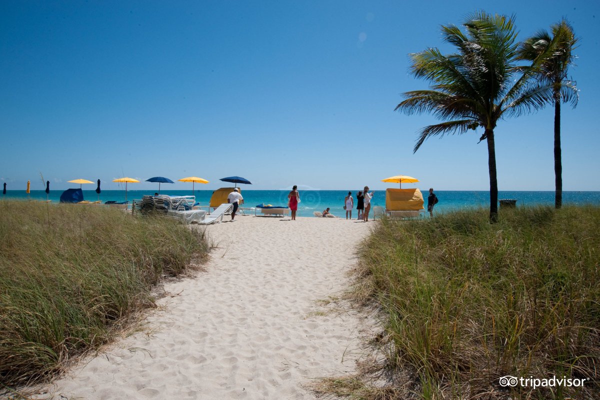 The 10 Best Bal Harbour Hotel Deals (jul 2022) - Tripadvisor