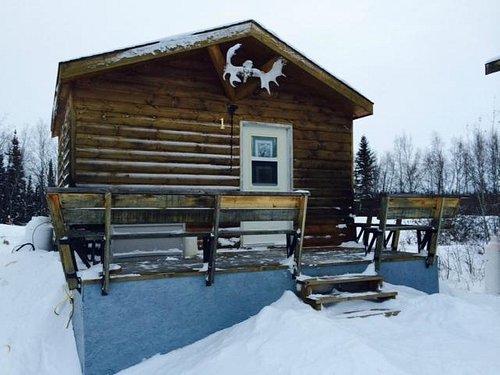 Queen's 50 inch Northern Pike - Picture of Trout Rock Lodge, Yellowknife -  Tripadvisor