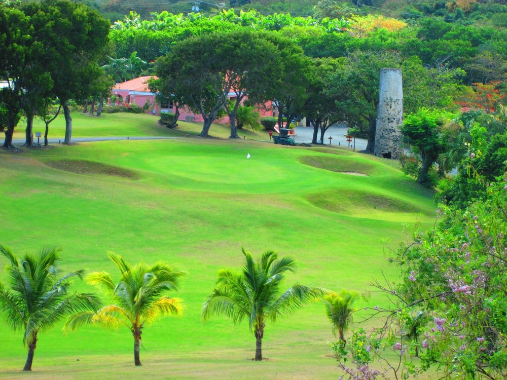 THE 5 BEST U.S. Virgin Islands Golf Courses (Updated 2024)