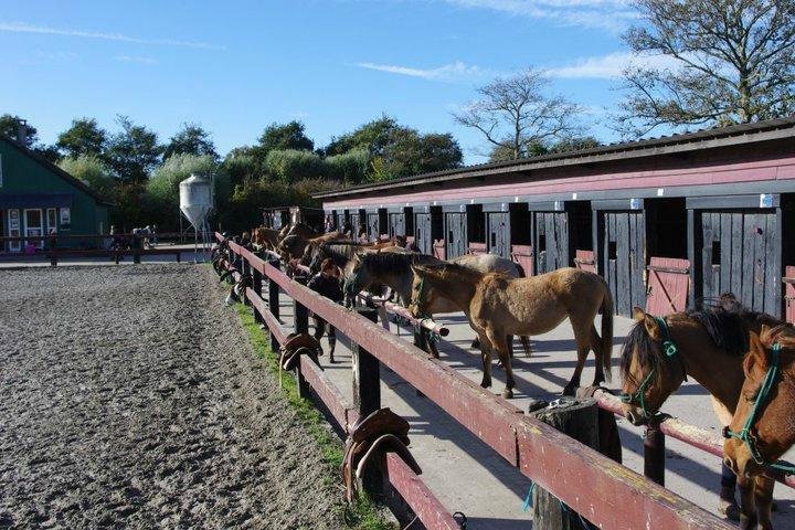 ESPACE EQUESTRE DE L'ETRIER (2024) All You Need to Know BEFORE You Go ...