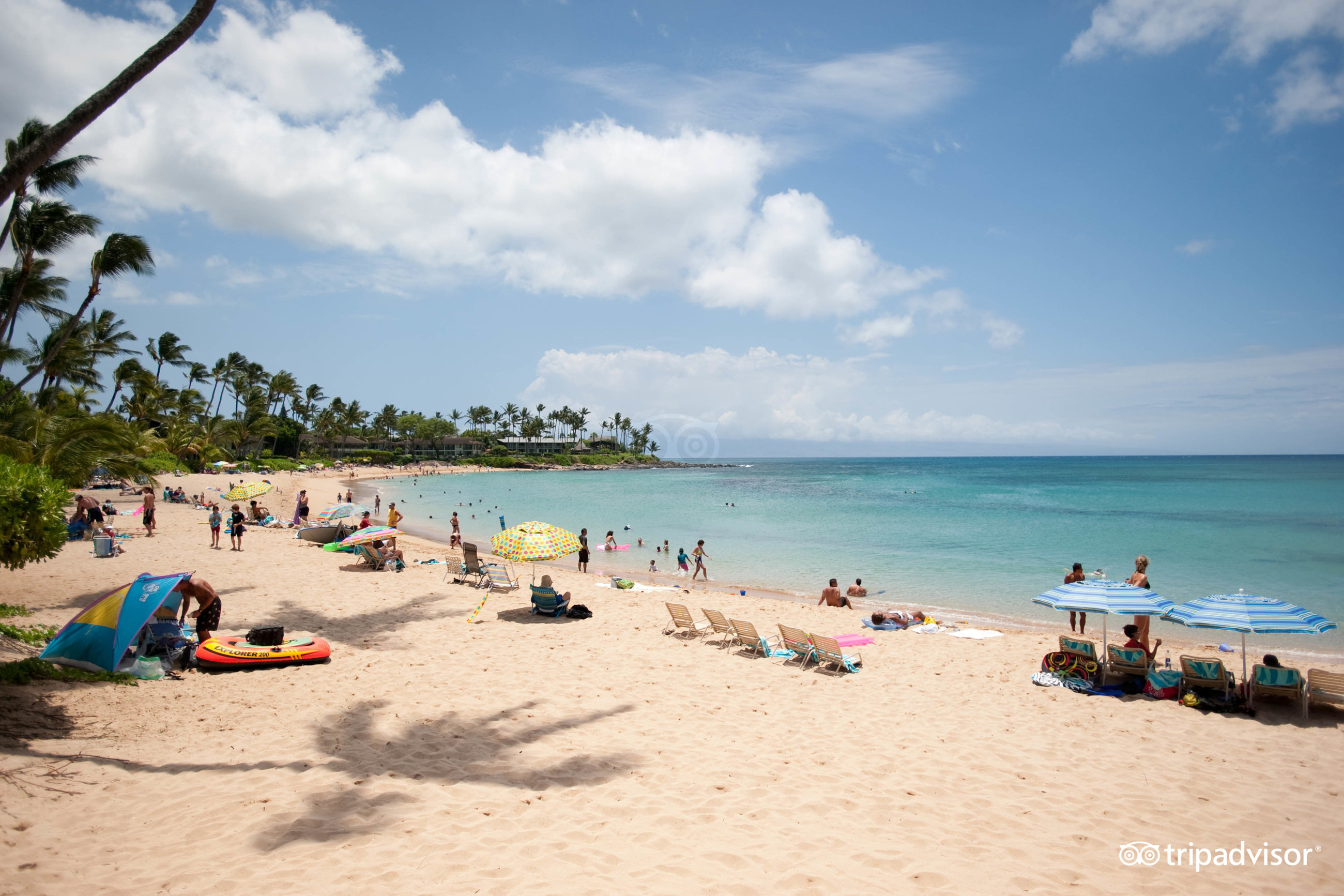 napili kai beach cam