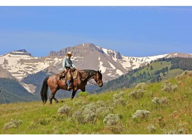 Strengt dybt Jurassic Park RED ROCK RANCH - Reviews (Kelly, WY)