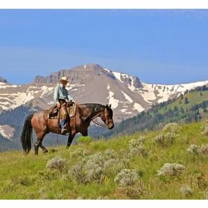 Scenic Views The Red Rock Ranch