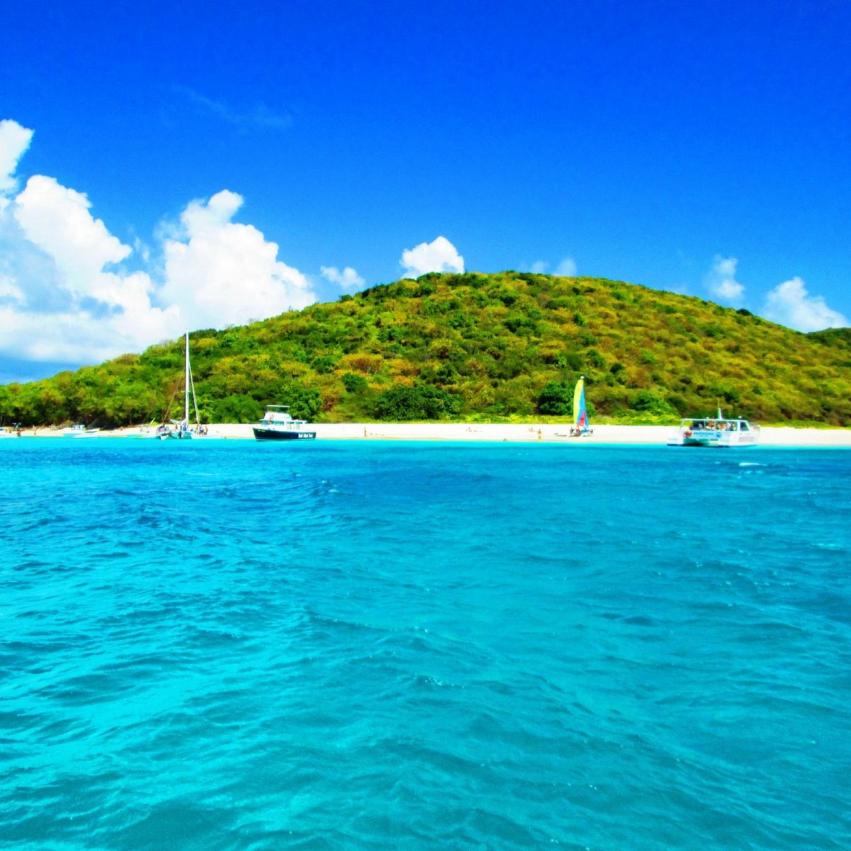 BUCK ISLAND COVE Tutto Quello Che C Da Sapere 2024 buck-island-cove-tutto-quello-che-c-da-sapere-2024