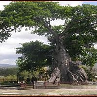 Parque la Ceiba