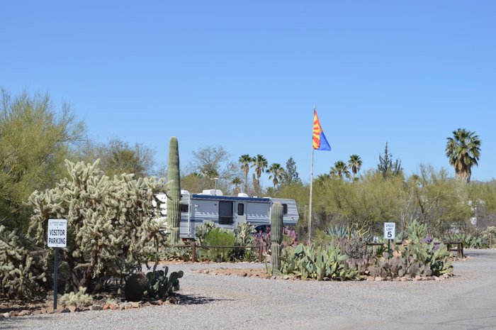 Escape to the Desert Oasis: Arizona Saguaro RV Park - Your Gateway to Adventure