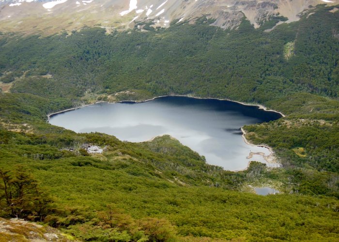 en circuito dientes de navarino
