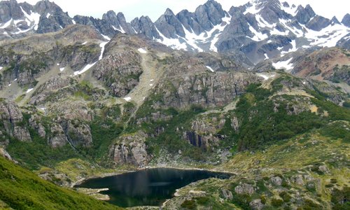 dientes de navarino