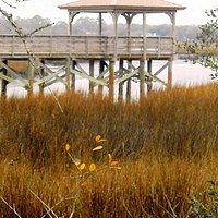 Dutton Island Preserve - Fishing Pier & Observation Deck