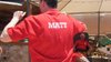Matthew P