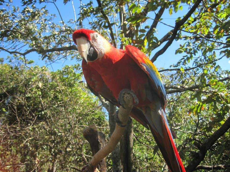 Refugio Animal de Costa Rica (Santa Ana) - 2022 Alles wat u moet weten